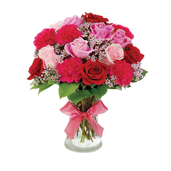 Kudos Roses Remarkable Roses Good Wishes for delivery today | Ruth's Roses