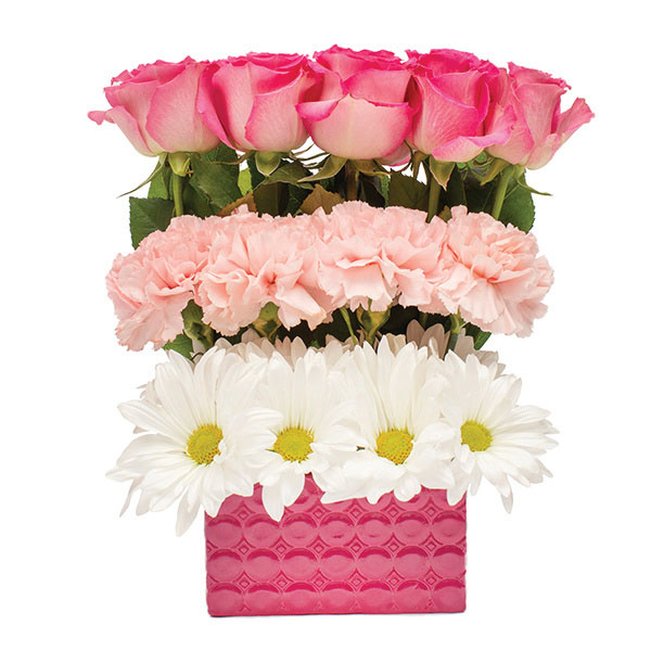 Ruth Bloom Roses Bloom's Garden Surprise for delivery today | Ruth's Roses