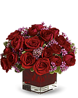 18 Roses Back Never Let Go - 18 Red Roses for delivery today | Flowers By Eva