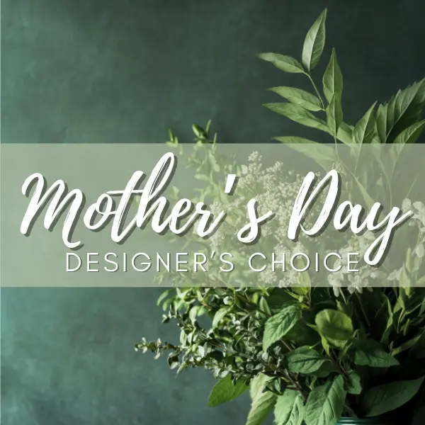 Verdant Embrace for delivery today | Flowers By Nora